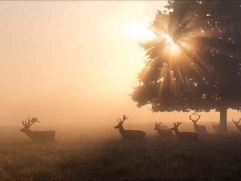 Levi ft. Victor Perry - Sail