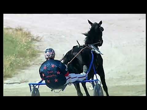 Napoli Trotto 04/06/2022 - 4ª corsa