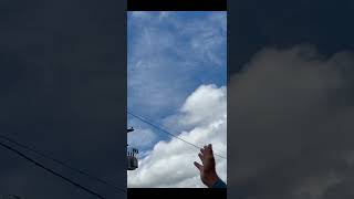 Mesma Descoberta de Alan Turing #experimento #biologia #matemática #educação #ciência