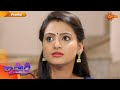 Kaveri Promo 4th March 2020 Udaya TV Serial Kannada Serial