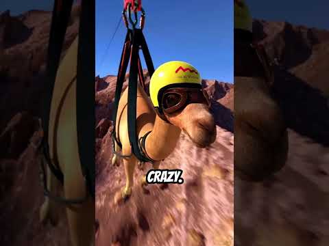 The Fastest Ziplines On Earth