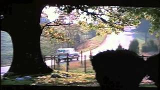 The Foolish Shall Confound the Wise