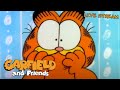 LIVE Garfield Friends Specials