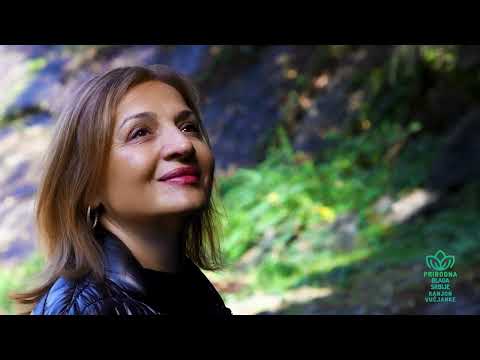 KANJON REKE VUČJANKE/Prirodno i inženjersko BLAGO juga SRBIJE/HE VUČJE/PSK Kukavica/Bata iz VUČJA/