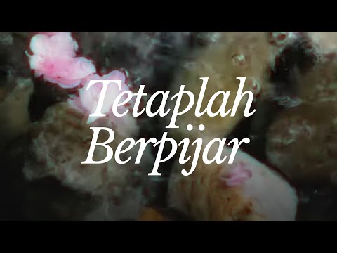 Pendarra - Tetaplah Berpijar (Official Lyric Video)