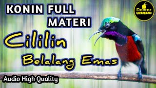 Download lagu MATERI WAJIB ! KONIN GACOR FULL ISIAN TEMBAKAN CILILIN SAMBUNG BELALANG EMAS COCOK BUAT MASTERAN mp3