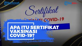 Apa Itu Sertifikat Vaksinasi Covid-19? Ini Kegunaan hingga Imbauan untuk Tak Unggah ke Medsos