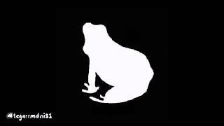 Download lagu Story WA | bukti (virgoun) mp3