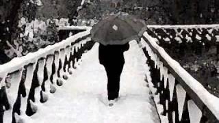 Frammenti altri ( L' Inverno di Vivaldi ) ★