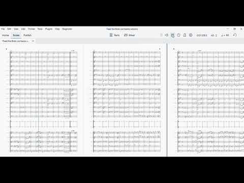 Feed the Birds form Mary Poppins arranged for symphonic orchestra.