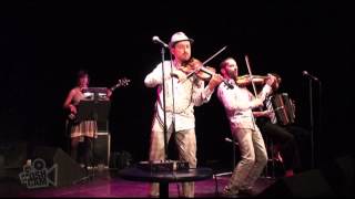 Les Yeux Noirs - Serbian Dance (Live in Sydney) | Moshcam