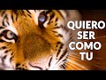 Quiero Ser Como Tu Operacion Triunfo 1 Cover Version