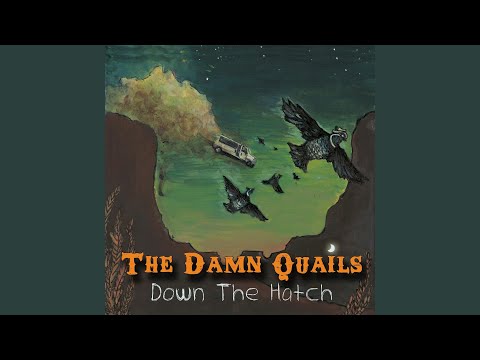 So So Long - The Damn Quails