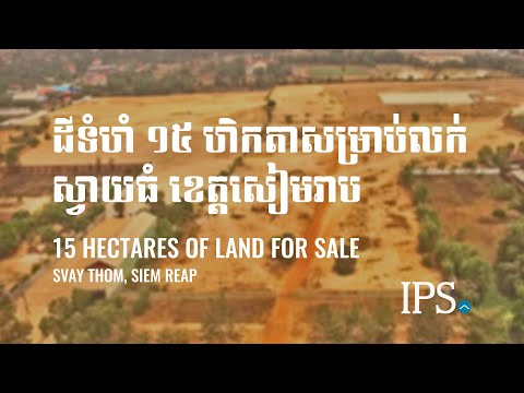   15 Hectares Land For Sale - Svay Thom, Siem Reap thumbnail