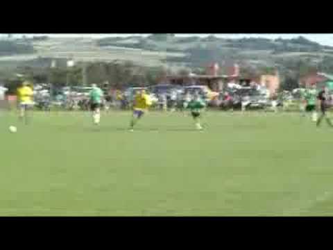 Arka Albigowa - siateczki