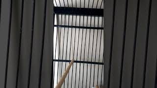 Download lagu MASTERAN GEREJA TARUNG RAPAT TERBAIK mp3