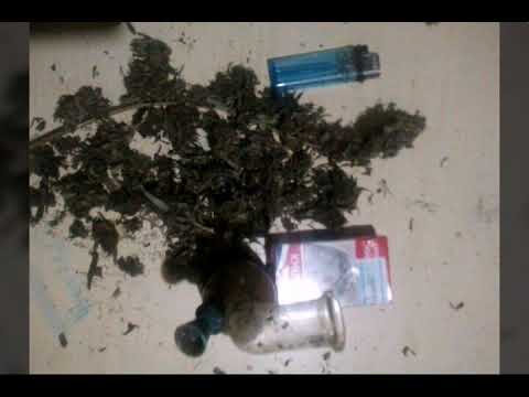 Mr joker ( Hindi song ) by Nepali raper sikarii ravi