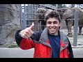 Me At The Zoo Riding The Elephants