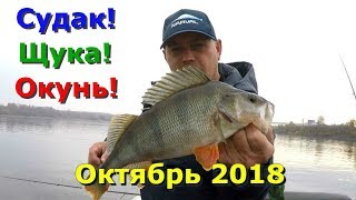 Рыбалка на волге и ахтубе в октябре