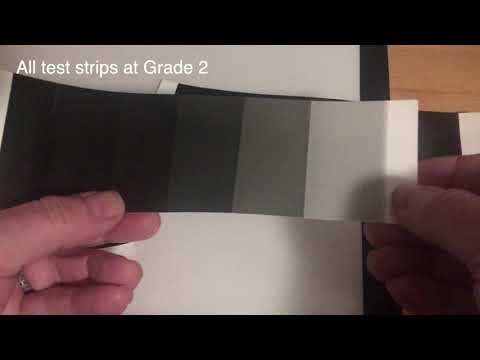 Matching Your Film to Your Developer - The first step in taking your negatives to the next level!