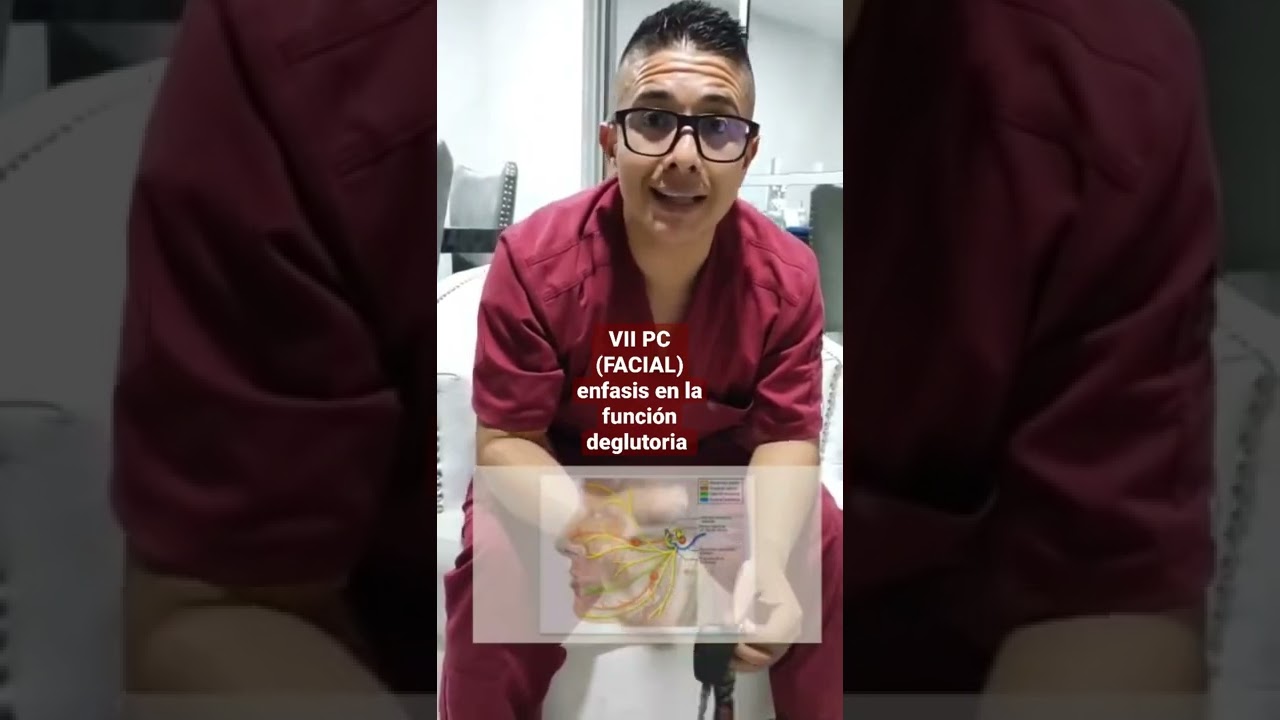 🚨🤔🧑‍⚕️ VII PC (NERVIO FACIAL) CON ENFASIS EN LA FUNCIÓN DEGLUTORIA        😝🥲😋🤪🤤 🩺
