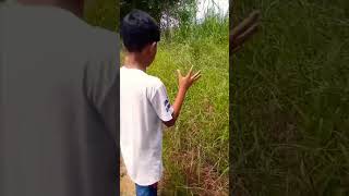 Download lagu tobu o parlo na#adi mp3