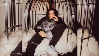 Cover art for [ OPTIMUS ]