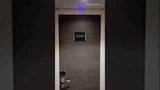 MSC Meraviglia inside cabin preview & lighting explanation #youtubeshorts #msc #cruiseship #cruise