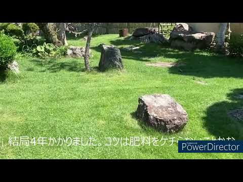 秋にはどのくらいの高さで草を刈ればよいでしょうか？冬の前に芝生を刈るにはどうすればいいですか？  庭園