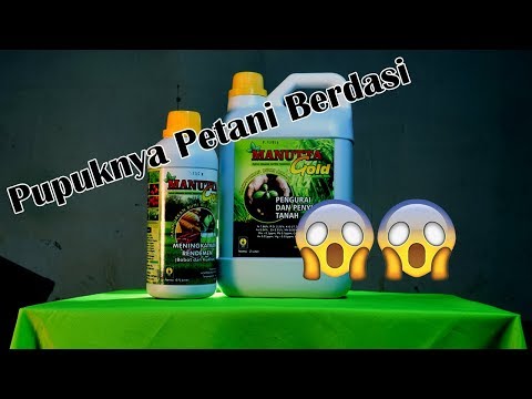 download lagu mp3 mp4 Manutta, download lagu Manutta gratis, unduh video klip Manutta