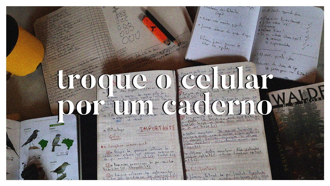 escrever em um caderno salvou a minha vida