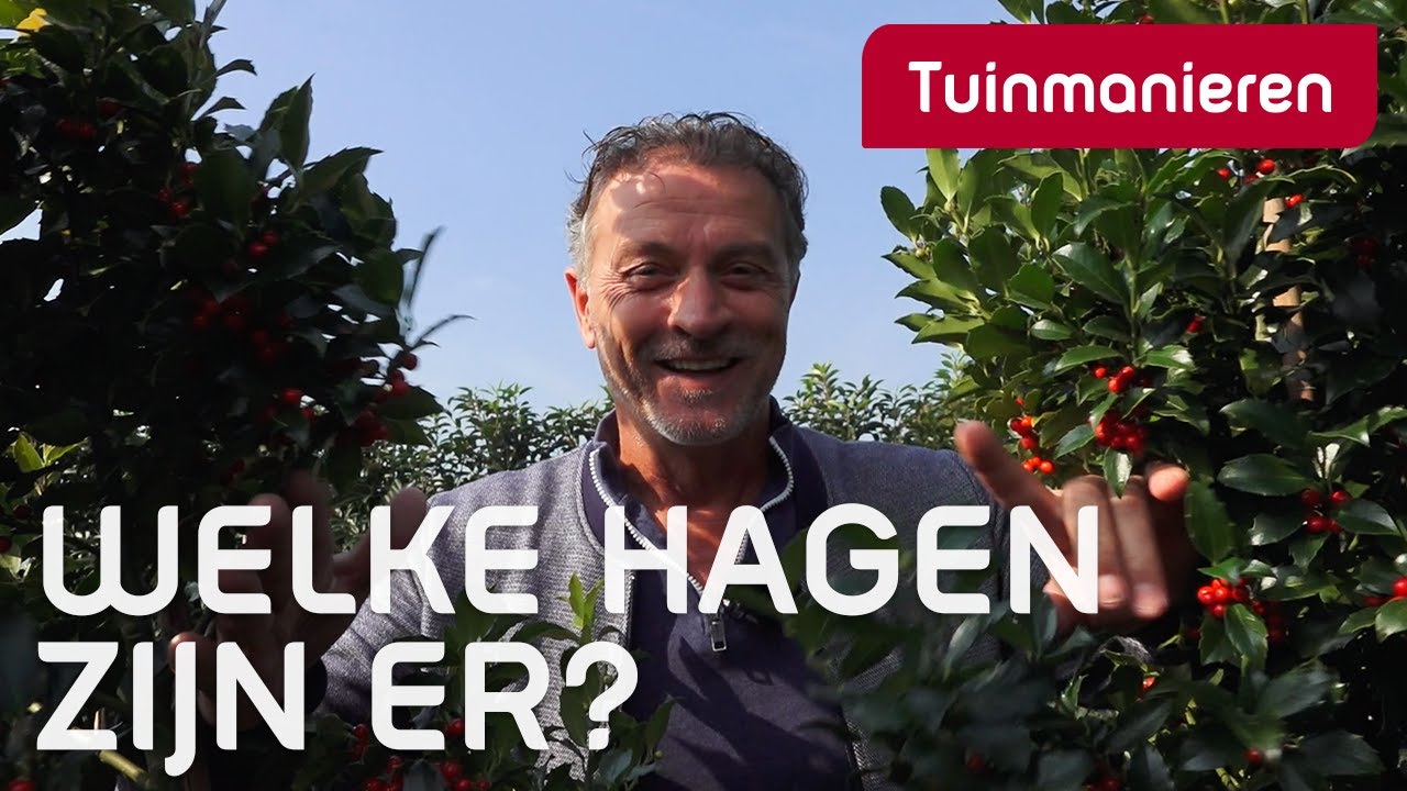 Welke hagen kies je en waar koop je deze | Tuinaanleg | Tuinmanieren