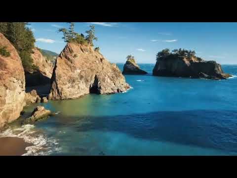 TIMOTHEUS - der erste und zweite Brief des Apostels Paulus an Timotheus - DIE BIBEL