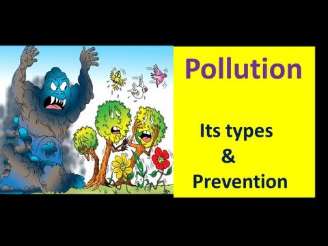 What is Pollution \u0026 its Types and Prevention (EVS Lesson for Kids)