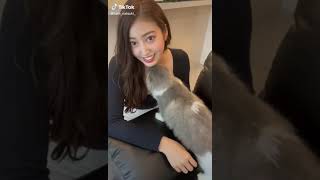 積極的な猫?初めて猫になりたいと思った#shorts #tiktok #なっちゅん
