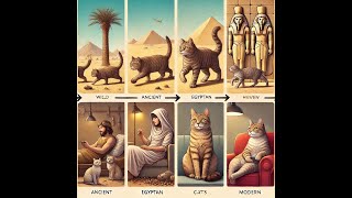 How Cats Became Domesticated