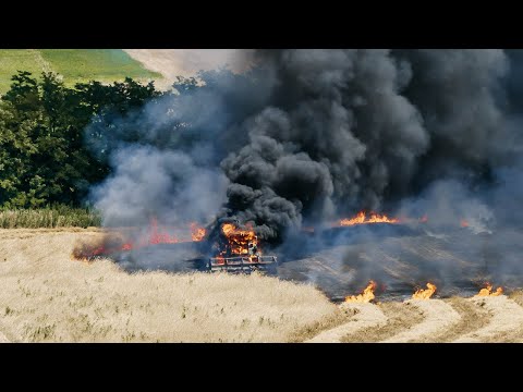 FIRE Wheat Harvesting (AGROPARK-Csengele, Hungary)