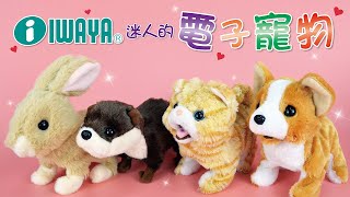 [問卦] 我決定明天請病假了！台大IU兔兔陣線