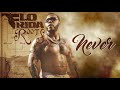 Flo Rida - Never [Official Audio]