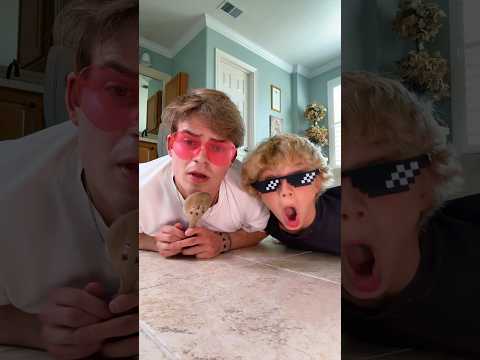 The results are here!