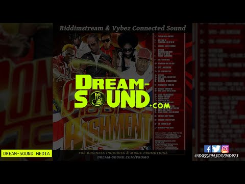 DJ Greedy - Connected To Di Bashment 6 (Dancehall Mix 2010 Ft T.O.K., Terro 3000, MR. Vegas, Shaggy)