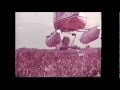 HQ Holden Helicopter TV Ad