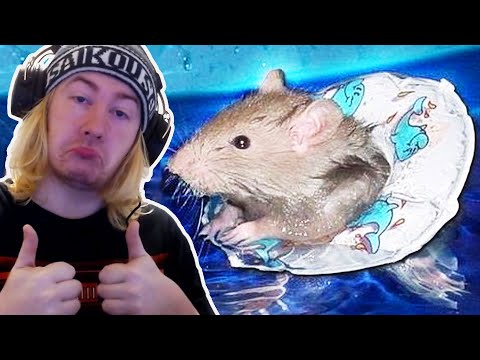 League of legends River Twitch but with the new first strike rune we can buy a private yacht