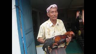 Download lagu Reciting the prayers (Besampi), Lemambang Kedit, Sea Dayak Iban, Borneo @Jerrylenggir_channel mp3