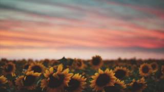 Missy Elliott - higher ground