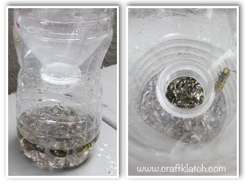How to Make an Easy Wasp Trap DIY!  Recycle water bottles!