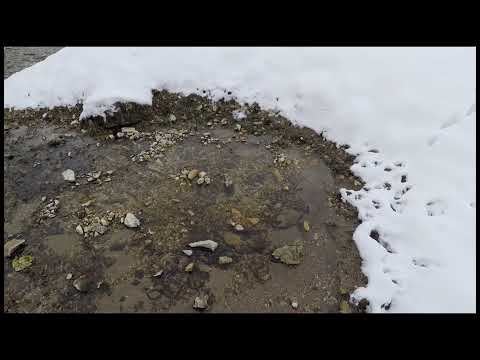 Secret Spring Branch | Hidden Spring House | Trout Fishing in the Snow