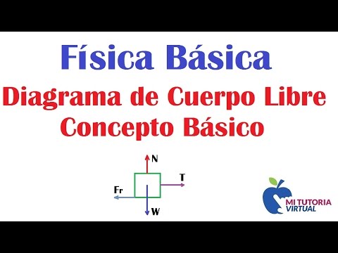 Diagrama de Cuerpo Libre - Concepto Basico - Video 108