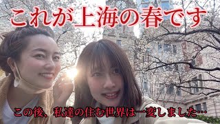 【上海の春】コロナ対策が厳しくなる前に花見してきた