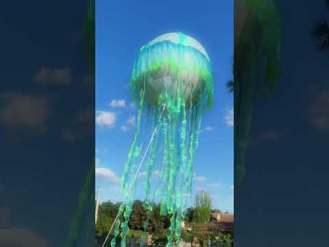 Video 6 de D.i.m Productions | Espectáculos, Pasacalles Y Animación